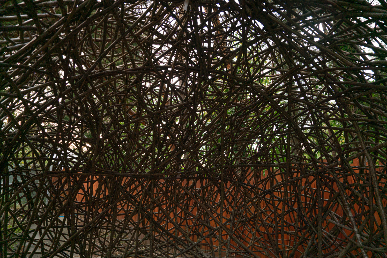 paralelle_gillesvuissoz-04387.jpg